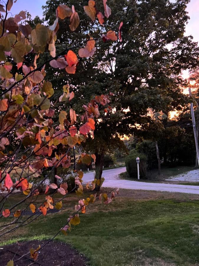 Bed and Breakfast Copper Swan Wellfleet Exterior foto